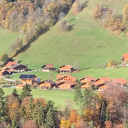 Chalet Park Apartment Mit Sauna Hamam Diemtigen Екстер'єр фото