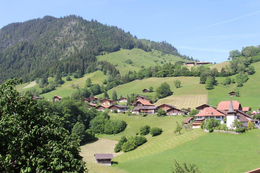 Chalet Park Apartment Mit Sauna Hamam Diemtigen Номер фото