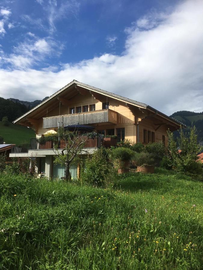 Chalet Park Apartment Mit Sauna Hamam Diemtigen Екстер'єр фото